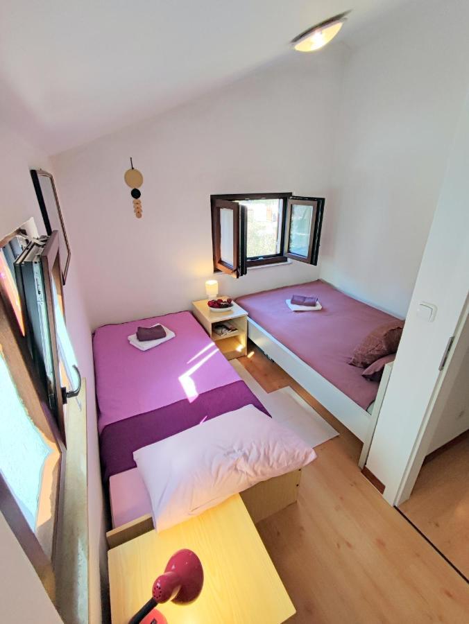 Apartma Pajtak *