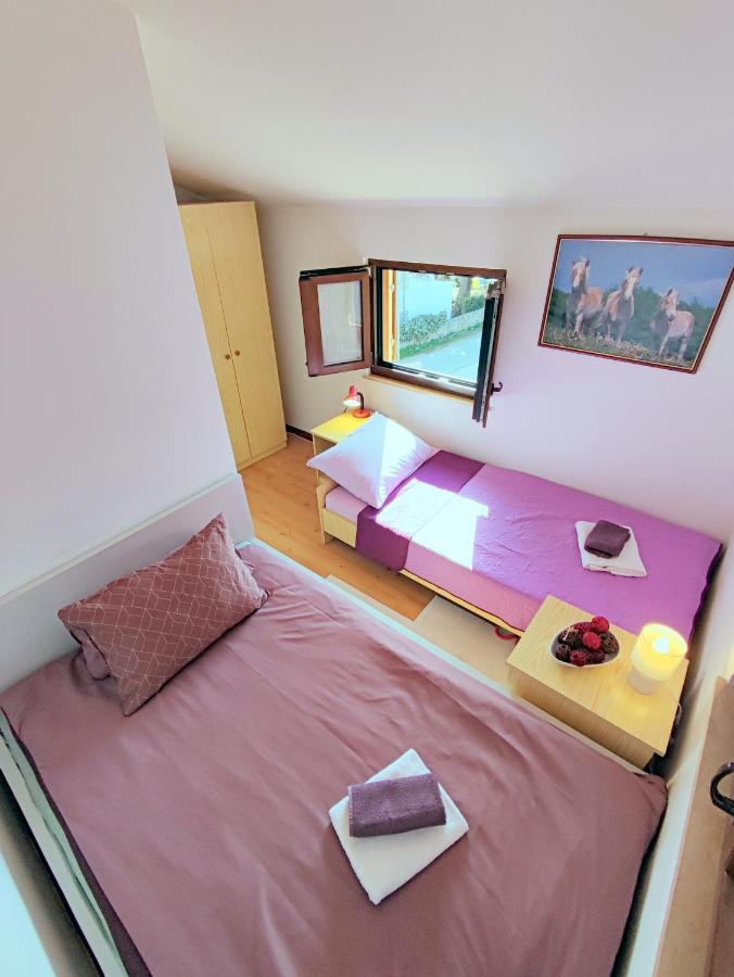 Pajtak Porec